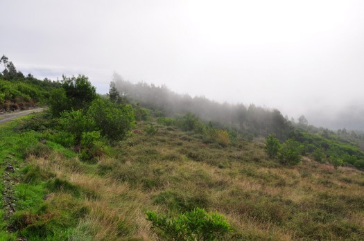 A neblina em movimento ascendente