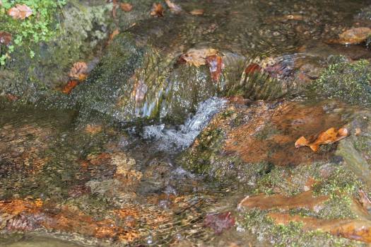 Momento de lazer junto ao ribeiro