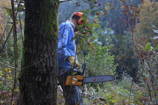 Os trabalhos prosseguem