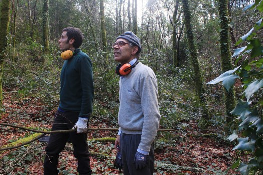 Momento para contemplar