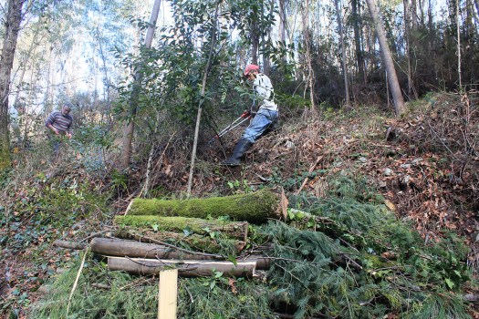 Manhã avançada, trabalho avançado