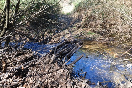 Passagem improvisada para a outra margem