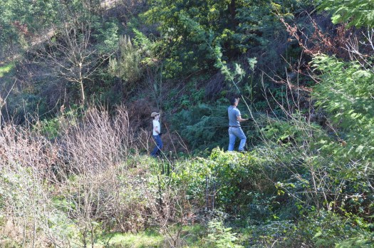 Acção na margem sul