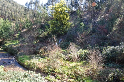 Vista mais geral da encosta a sul do ribeiro