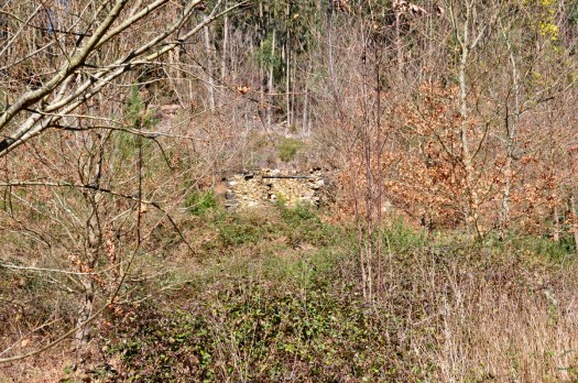 Antiga casa de arrumo ou de animais