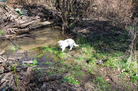 Refrescando à beira-rio