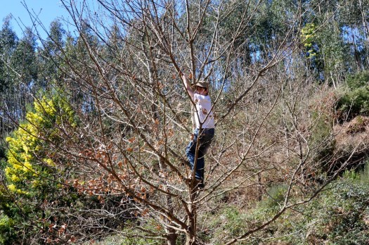 Pequeno momento lúdico
