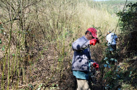 Desobstruindo o Trilho da Serra