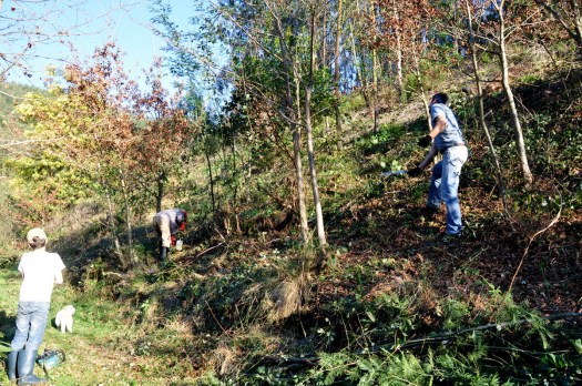 Trabalhos na encosta