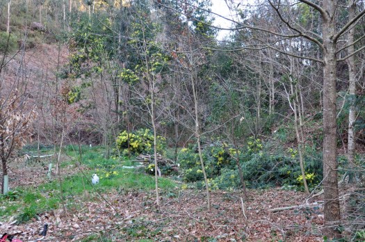 Última foto do Inverno de 2015