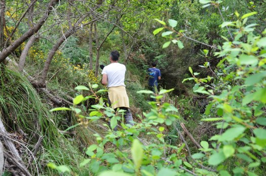 Trabalho dos voluntários já junto ao vale