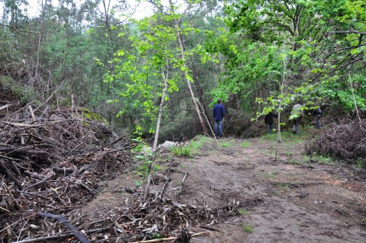 Depois da lenha que aqui se acumulou já em Dezembro de 2013, esta área ainda vive o seu 