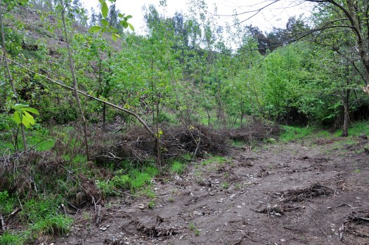 Obstruído, o ribeiro galgou as margens e levou o solo