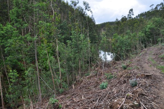 Tudo por fazer, também aqui