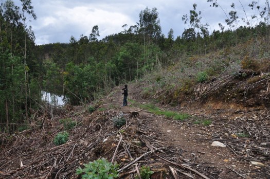 Jovem voluntário procurando compreender o que se passou