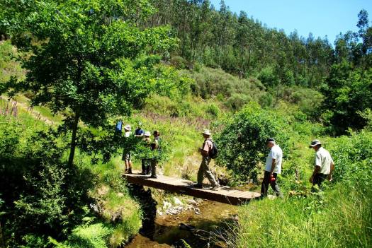 De novo sobre o ribeiro