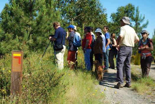 Chegada ao antigo caminho da mata