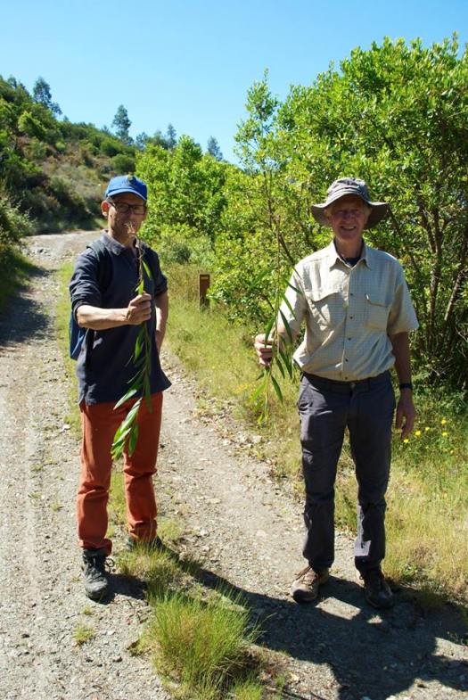 Pequeno trabalho demonstrativo