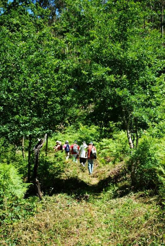Já à chegada ao Ribeiro