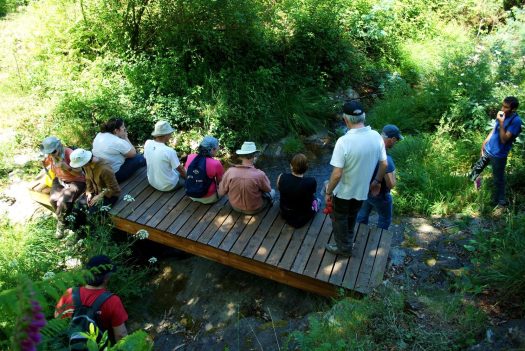Momento de pausa e descontracção