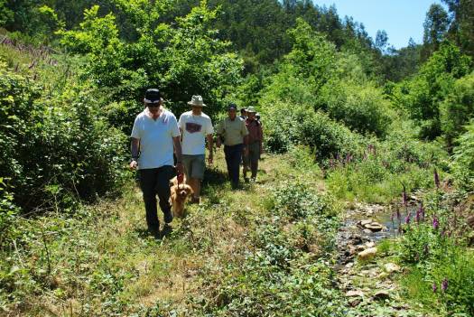 Continuação da visita, ao longo do ribeiro