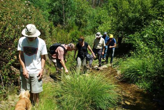Atravessamento do ribeiro