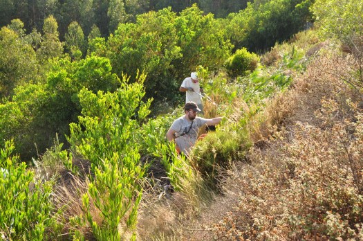 Detalhe dos trabalhos