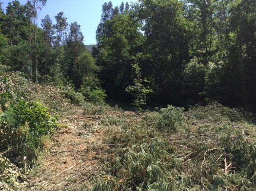 Antigas terras agrícolas