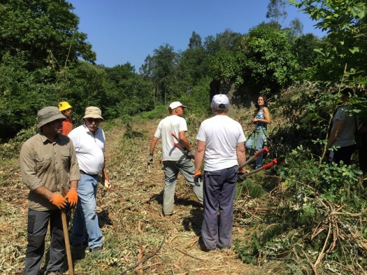 Observação das antigas terras agrícolas
