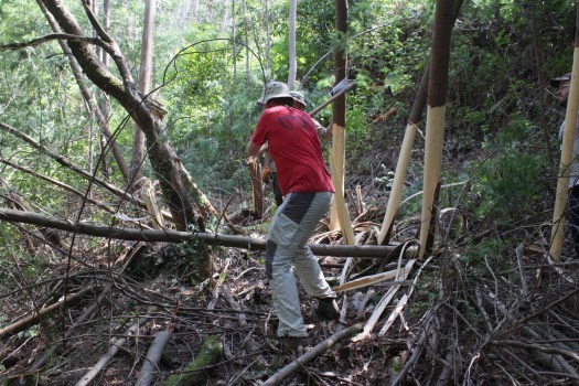 Trabalho de machado!