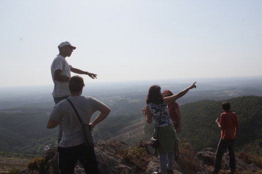Observação da paisagem e de cravinas-bravas