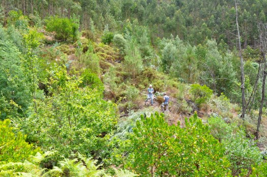 Perspectiva dos trabalhos, já a manhã ia avançada