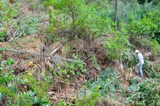 Vista da encosta a montante do vale