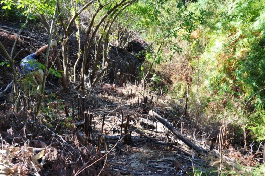 Inspecção à área trabalhada na última jornada