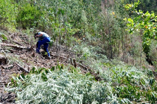 Evoluir dos trabalhos na encosta