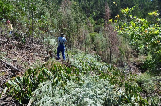 Um pouco mais tarde, do mesmo local...