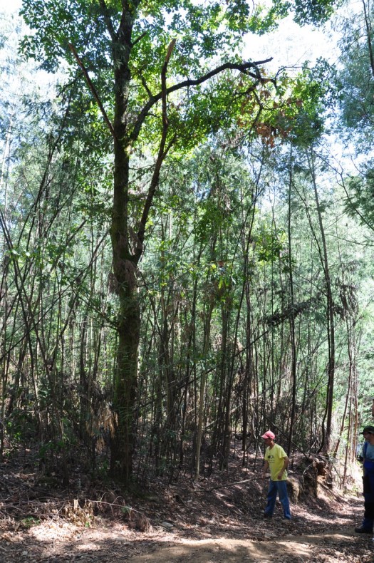 Área de intervenção da tarde