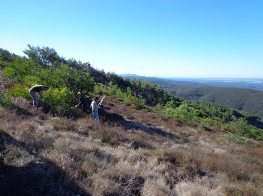 Início dos trabalhos