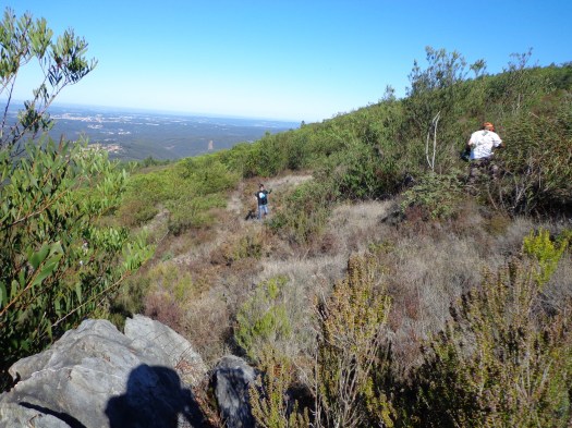Trabalhos em progresso