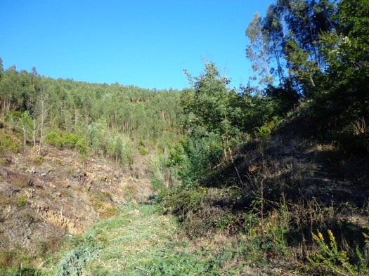 Aproximadamente o mesmo local de uma foto anterior, agora depois do trabalho realizado