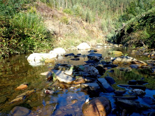 Visto assim, até parece um grande rio!