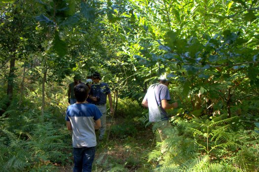 Já na zona ribeirinha, visita a uma área plantada em 2011