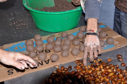 Manufactura de bolas de sementes, num evento do Movimento Terra Queimada em 2014