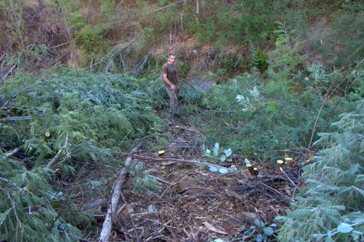 Voluntário depois do trabalho realizado