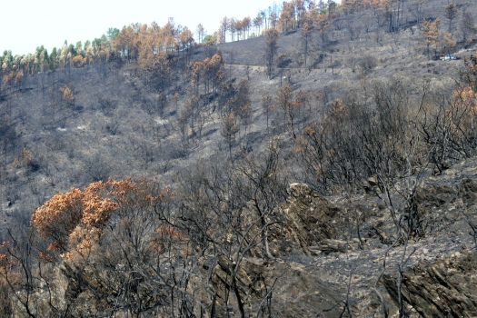 Há 10 anos, na cabeceira do vale nº 2, onde nesta jornada iriamos voltar