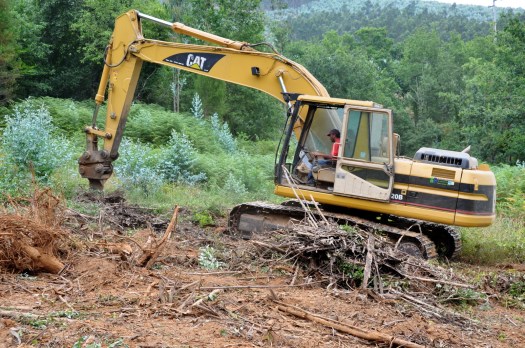 Máquina arrancando tocos de eucalipto. Julho