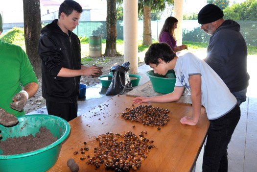 Fabrico de bolas de sementes, em Dezembro de 2014, em Arouca, pelo Movimento Terra Queimada