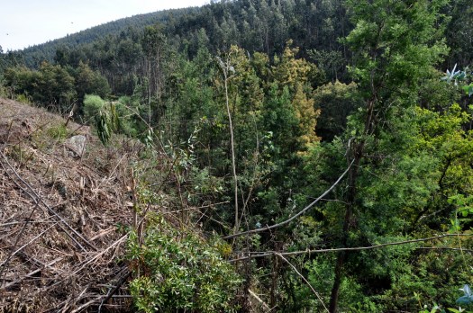 Ao chegar à Chousa, Abril