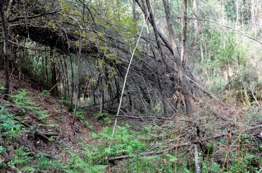 Aqui as coisas complicam-se... Abril