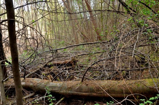 Na margem sul quase não houve intervenção nos últimos 10 anos